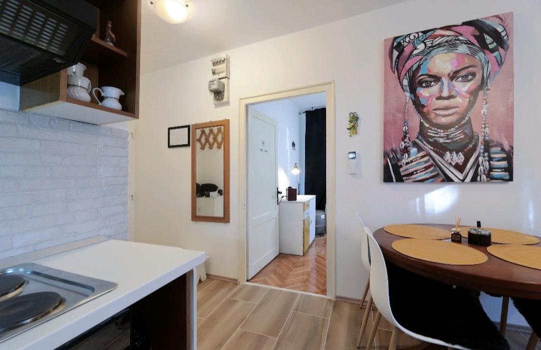 Spa Apartment Belvedere 里耶卡 外观 照片